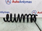 Rear coil spring