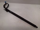 Tailgate/trunk strut/damper