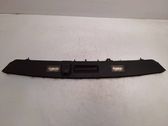 Trunk door license plate light bar