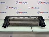 Intercooler radiator