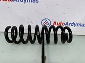 Rear coil spring