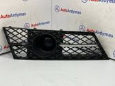 Front bumper lower grill