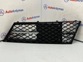 Front bumper lower grill