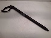 Tailgate/trunk strut/damper