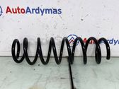 Rear coil spring