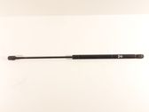 Tailgate/trunk strut/damper