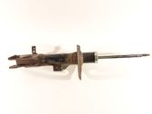 Front shock absorber/damper
