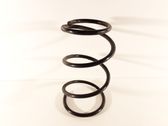 Front coil spring