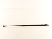 Tailgate/trunk strut/damper