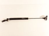 Tailgate/trunk strut/damper