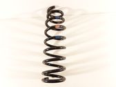 Front coil spring