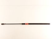 Front bonnet/hood damper/strut