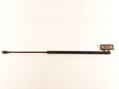 Front bonnet/hood damper/strut