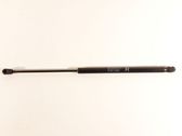 Tailgate/trunk strut/damper