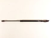 Tailgate/trunk strut/damper