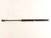 Tailgate/trunk strut/damper