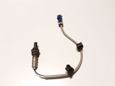 Sonde lambda