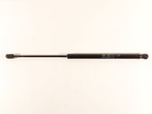 Tailgate/trunk strut/damper
