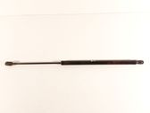 Tailgate/trunk strut/damper