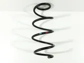 Front coil spring