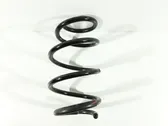 Front coil spring