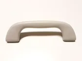 Front interior roof grab handle