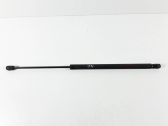 Tailgate/trunk strut/damper