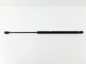 Tailgate/trunk strut/damper