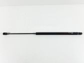 Tailgate/trunk strut/damper