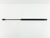 Tailgate/trunk strut/damper
