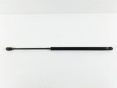 Tailgate/trunk strut/damper