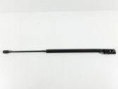 Tailgate/trunk strut/damper