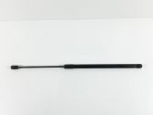 Front bonnet/hood damper/strut