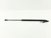 Tailgate/trunk strut/damper