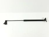 Tailgate/trunk strut/damper