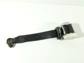 Rear seatbelt