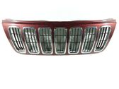 Front bumper upper radiator grill