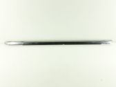 Front door glass trim molding