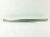 Trunk door license plate light bar