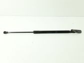 Tailgate/trunk strut/damper