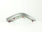 Panel trim