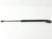 Tailgate/trunk strut/damper