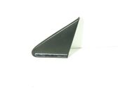 Fender end trim