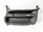 Front fog light trim/grill