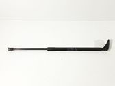 Tailgate/trunk strut/damper