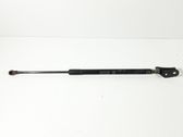 Tailgate/trunk strut/damper