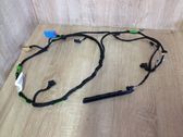 Front door wiring loom