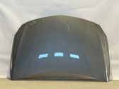 Motorhaube