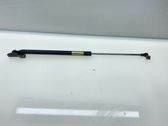 Tailgate/trunk strut/damper