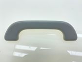 Front interior roof grab handle